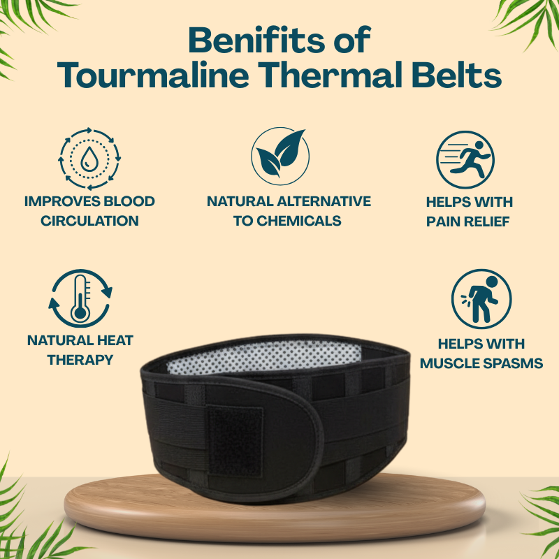 Back Belt